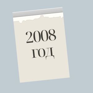 2008 год